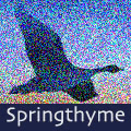 Springthyme Records