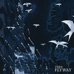 Tern: Flyway (Tern)