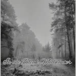 Kirsty Hannah: In the Bleak Midwinter (smallCog) Kirsty Hannah: In the Bleak Midwinter (smallCog)