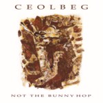 Ceolbeg: Not the Bunny Hop (Fenn FMS 2038)