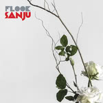 Flook: Sanju (Flatfish 007LP)