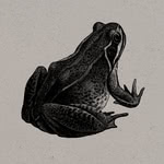 Various: Sing Yonder 2 (SINYO 2)