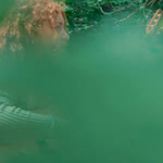 Heather Cartwright: Sweet Afton (Heather Cartwright)