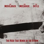 Mike McGoldrick, John McCusker, John Doyle: The Reed That Bends in the Storm (Under One Sky UOSR007)