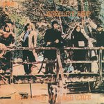 Steeleye Span: Hark! The Village Wait (RCA SF 8113)