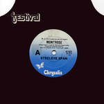 Steeleye Span: Montrose (Festival K7422)